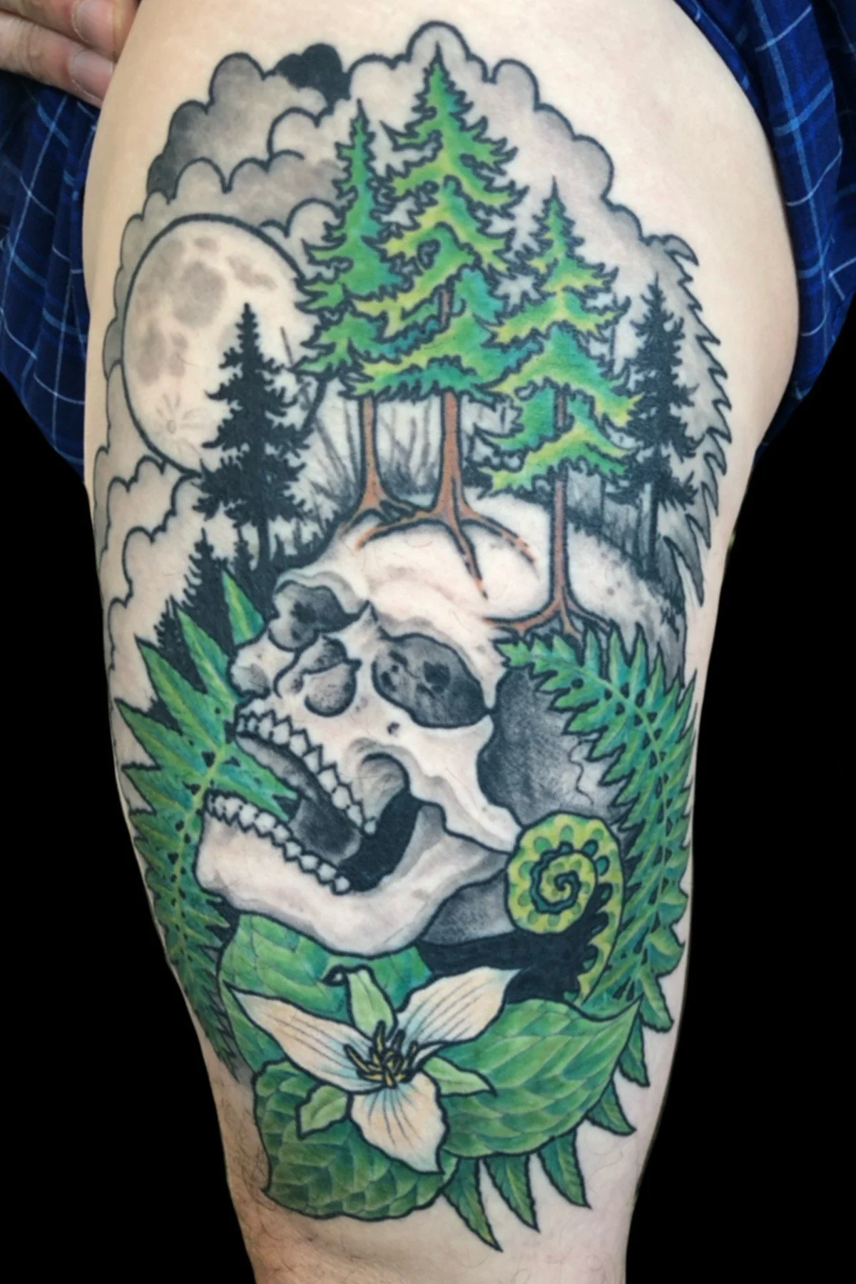 tattoo_pacific northwest skull forest.jpg