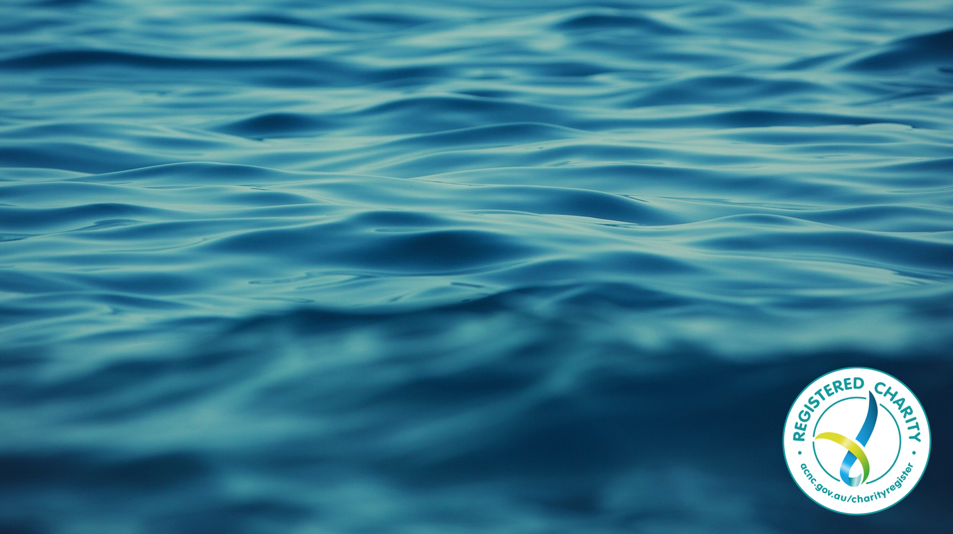Screen Shot 2019-06-28 at 2.31.16 pm.png