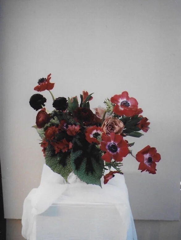 DBF3CDC6-38B7-4944-A76C-0E5D0A33A945