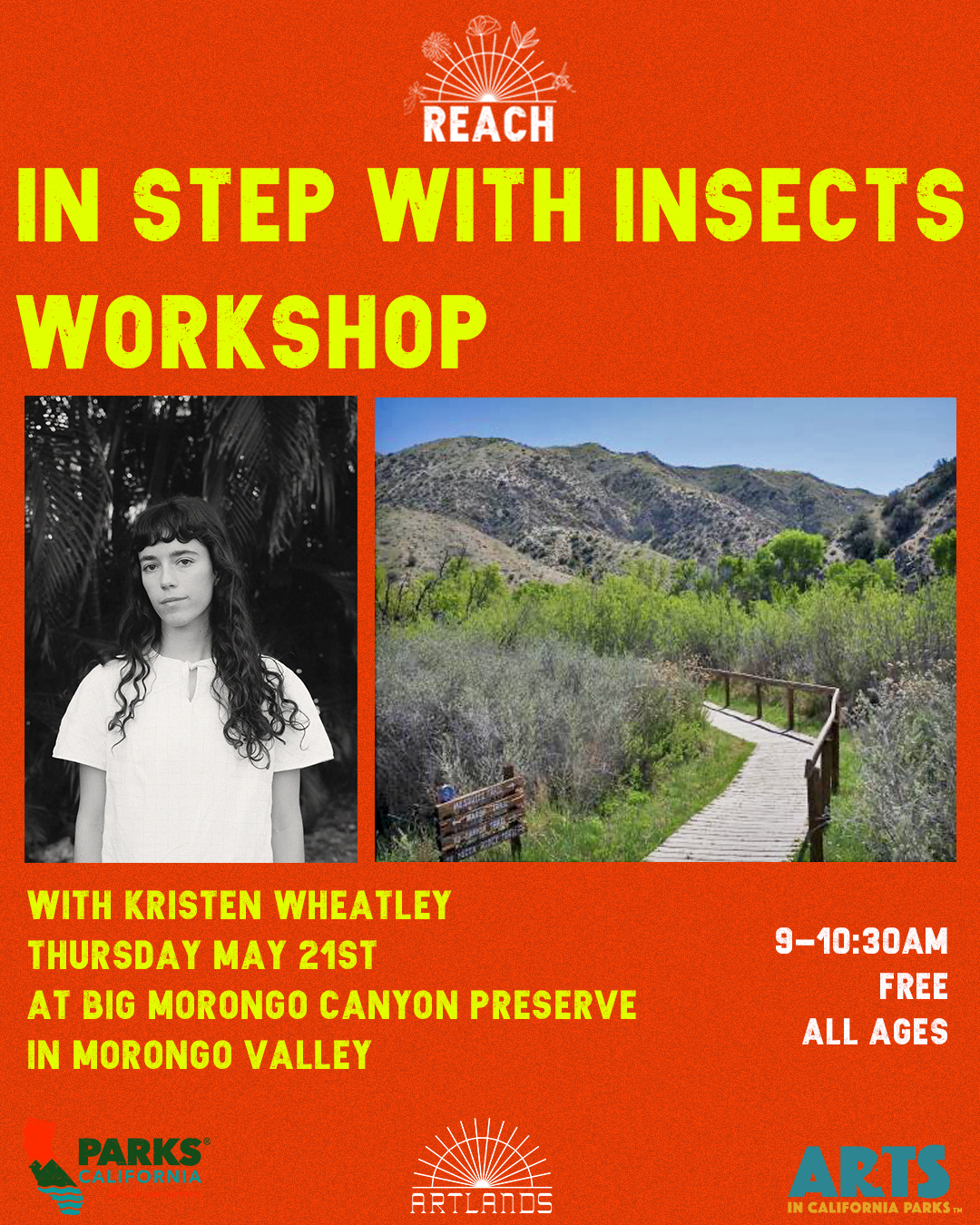 In Step With Insects: Workshop with Kristen Wheatley