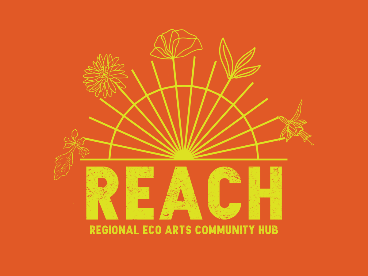 REACH Fundraiser | Eco Arts Champion
