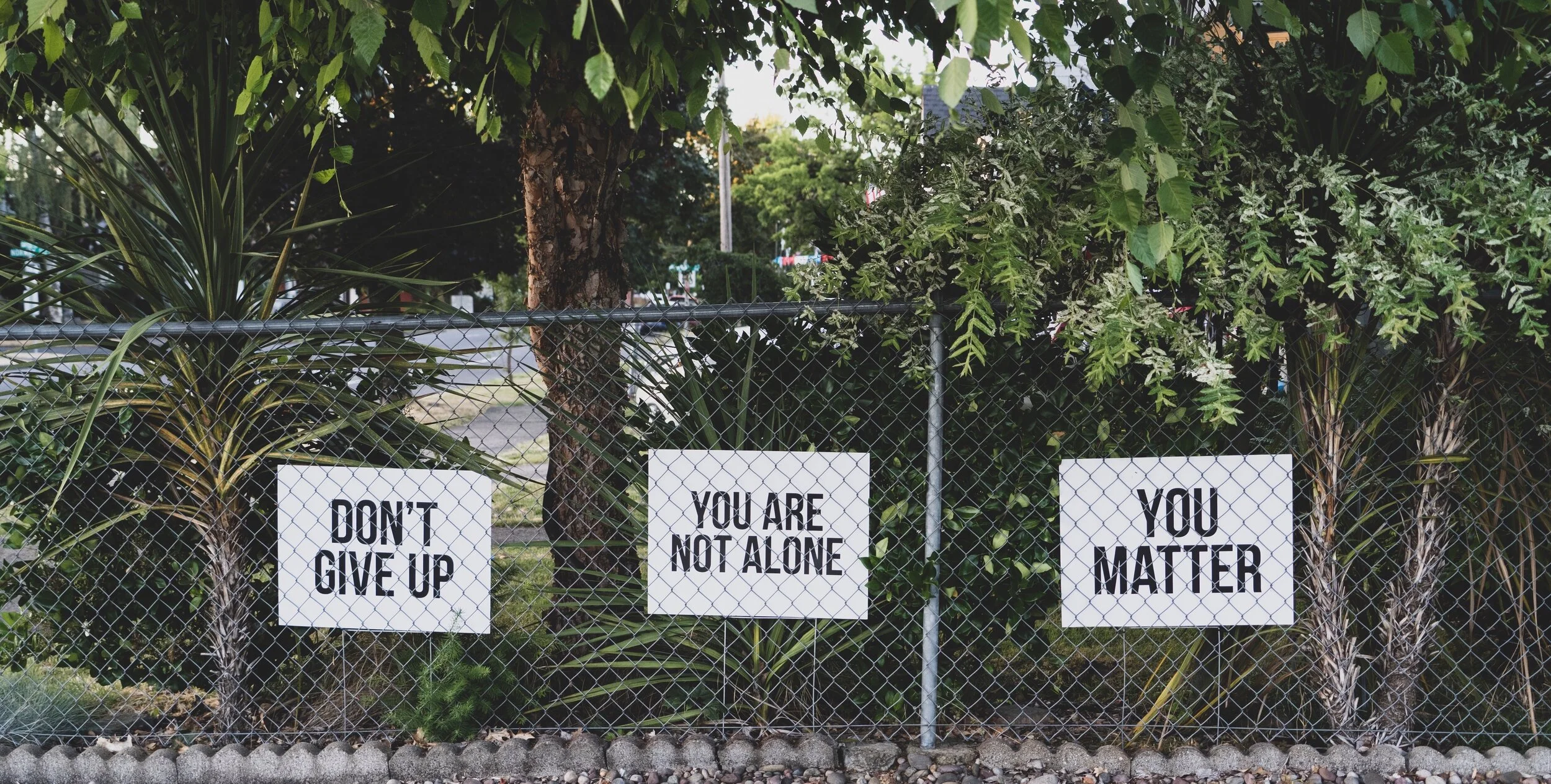 dan-meyers-hluOJZjLVXc-unsplash.jpg copy.jpeg