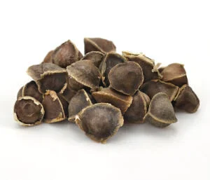 Moringa Seeds (bag of ten seeds)