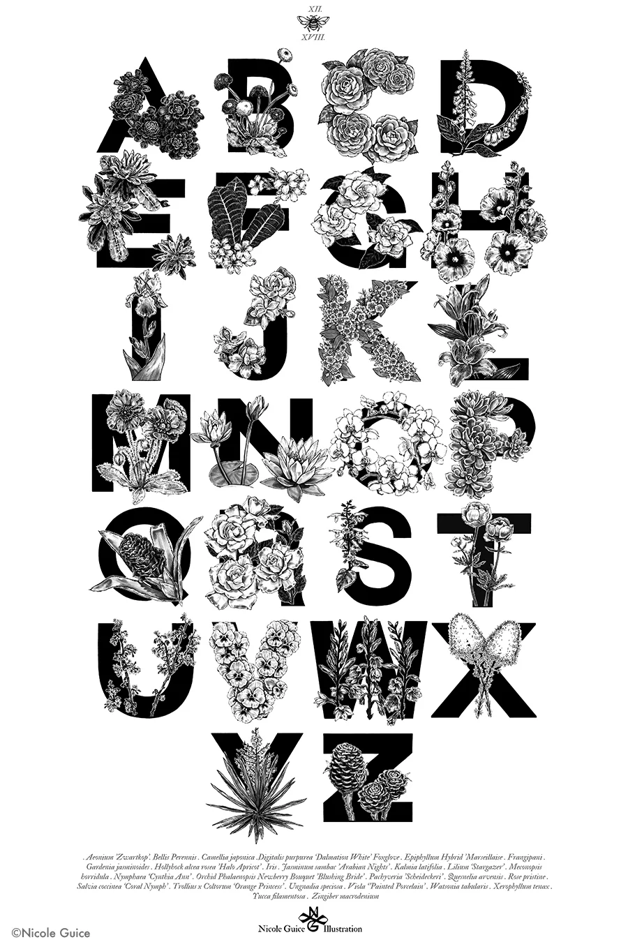 Botanical and Succulent collection_Nicole Guice.jpg