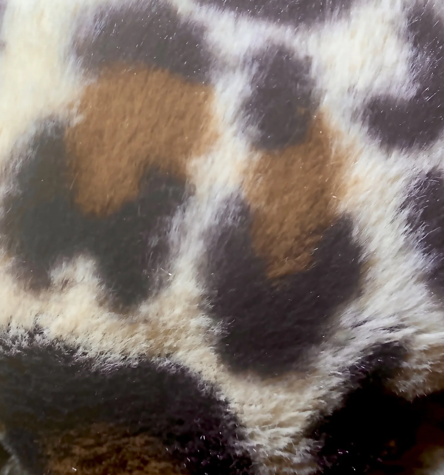 49A8CBA4-7520-4753-B94E-D13FCF762CC4