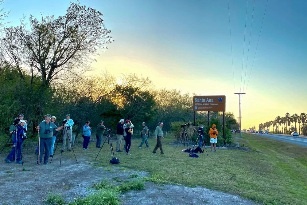 Evening crowd at 6pm