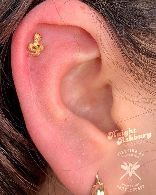 This little engraved snake with black diamonds from @mariatash is a favorite here at the shop! @philthysharp used it for a fresh helix recently, can&rsquo;t get over how cute it is 🥰