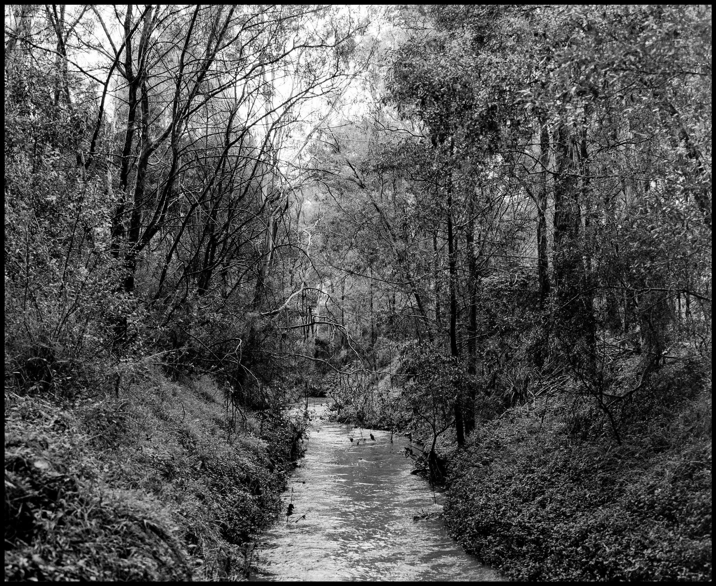 river runs.jpg