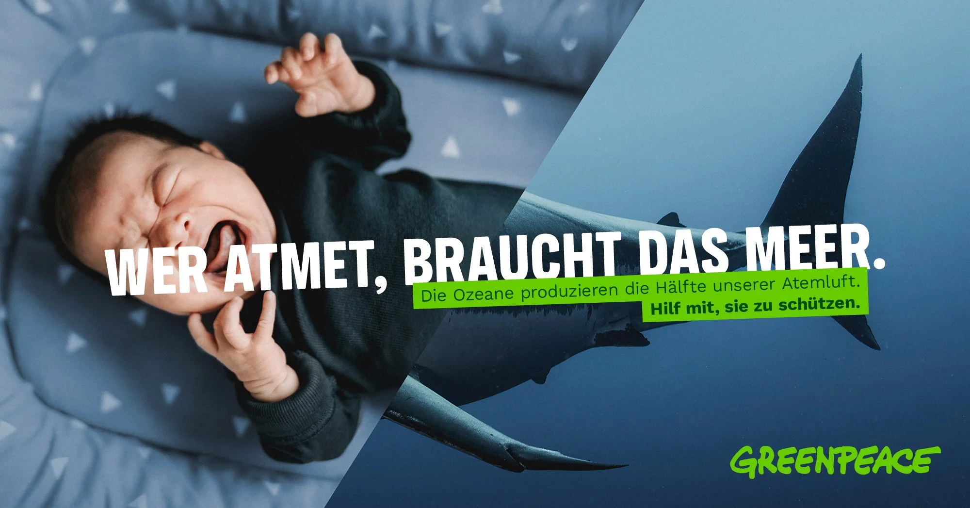 Greenpeace | Fundraising-Kampagne | 2023