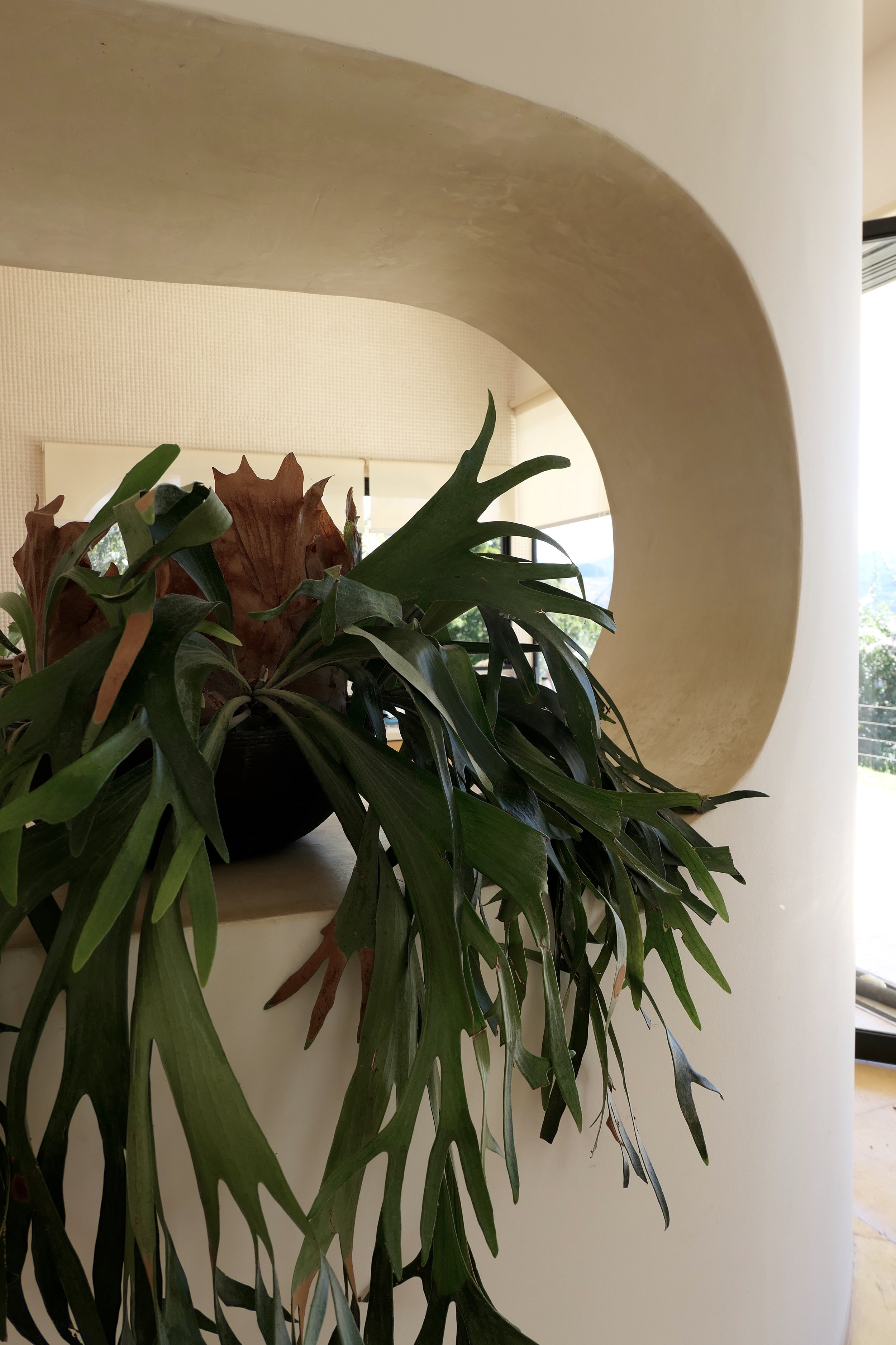 P1000600.jpg