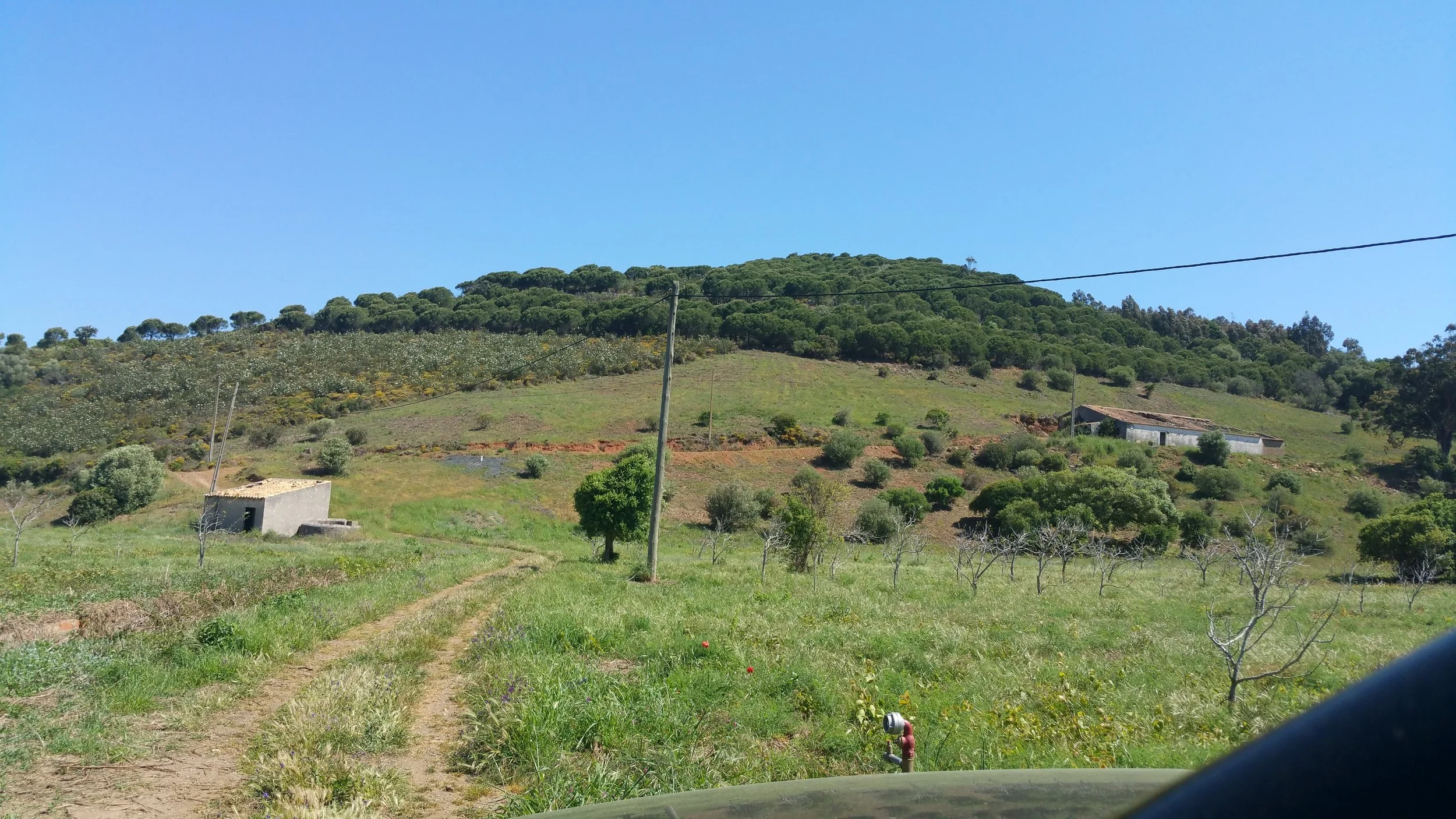 20180517_110936.jpg