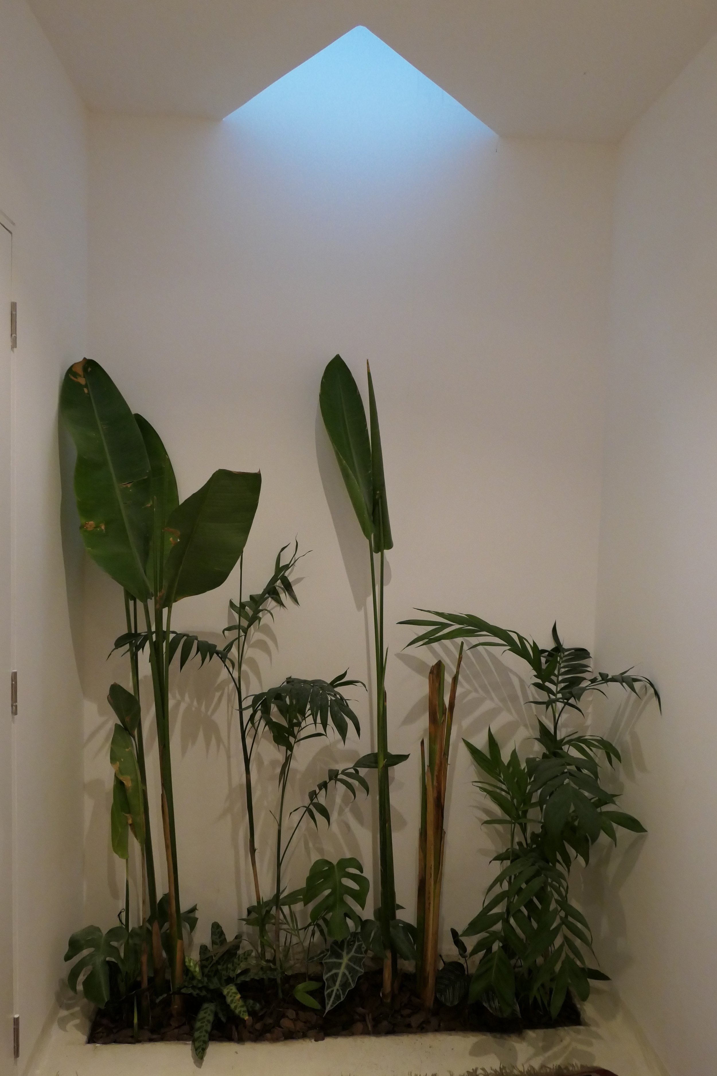 P1000217.jpg