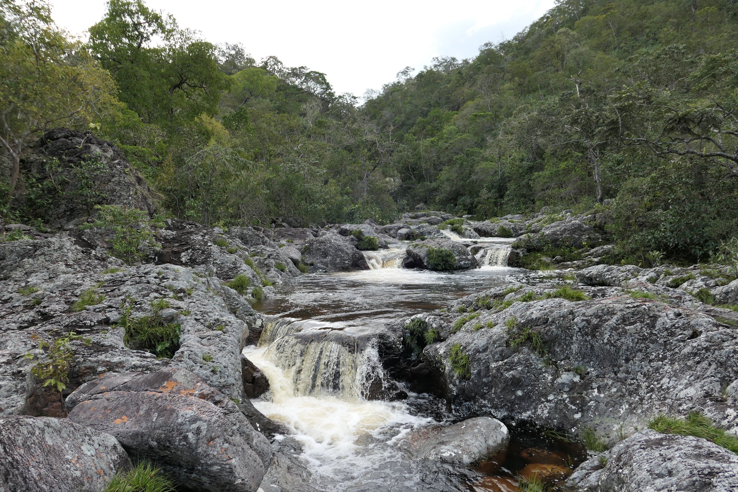 P1000465.jpg