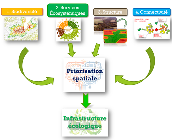 Figure 1 – Les quatre piliers du concept d’infrastructure écologique proposé