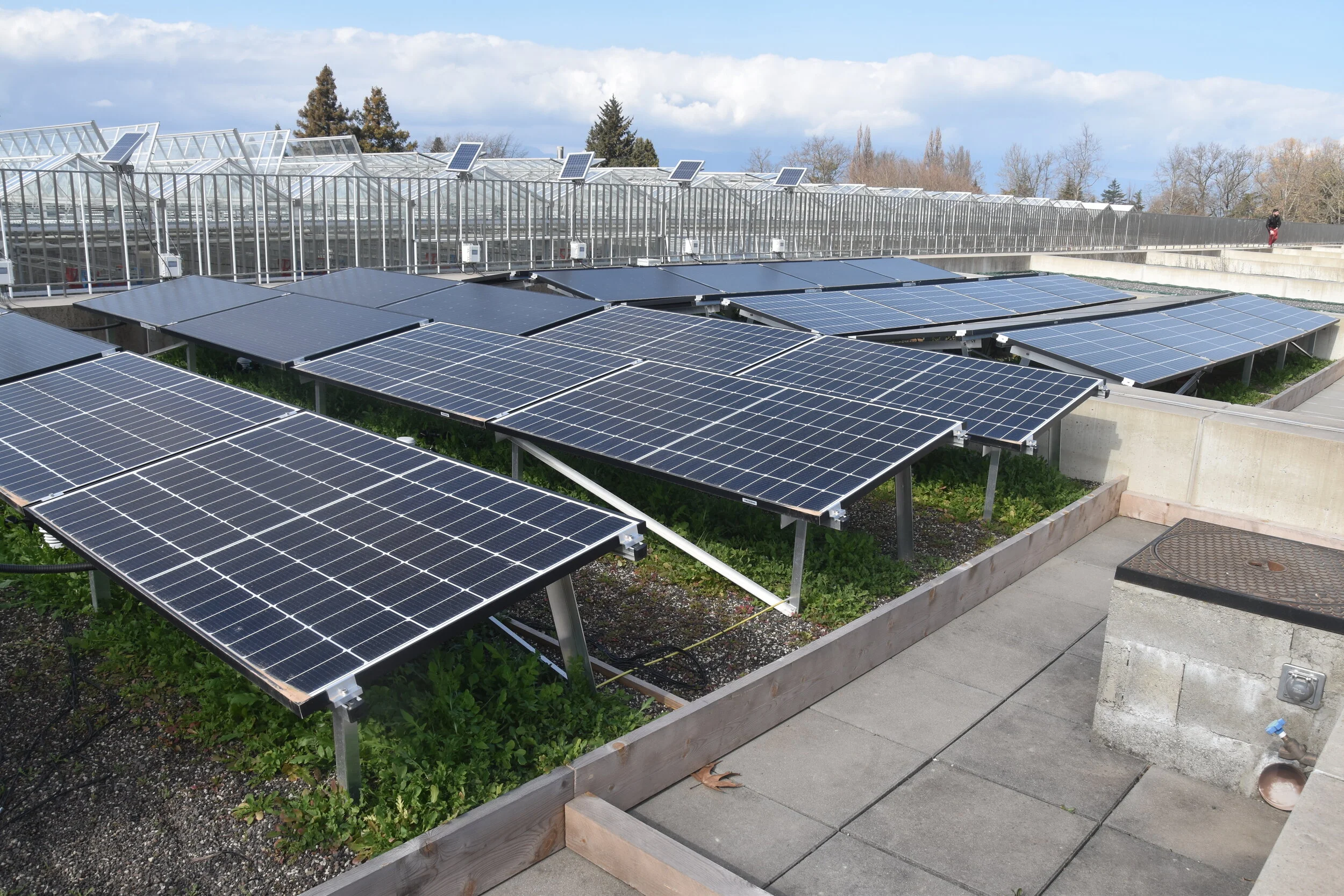 HEPIA et les SIG s’associent pour développer des toitures solaires végétalisées