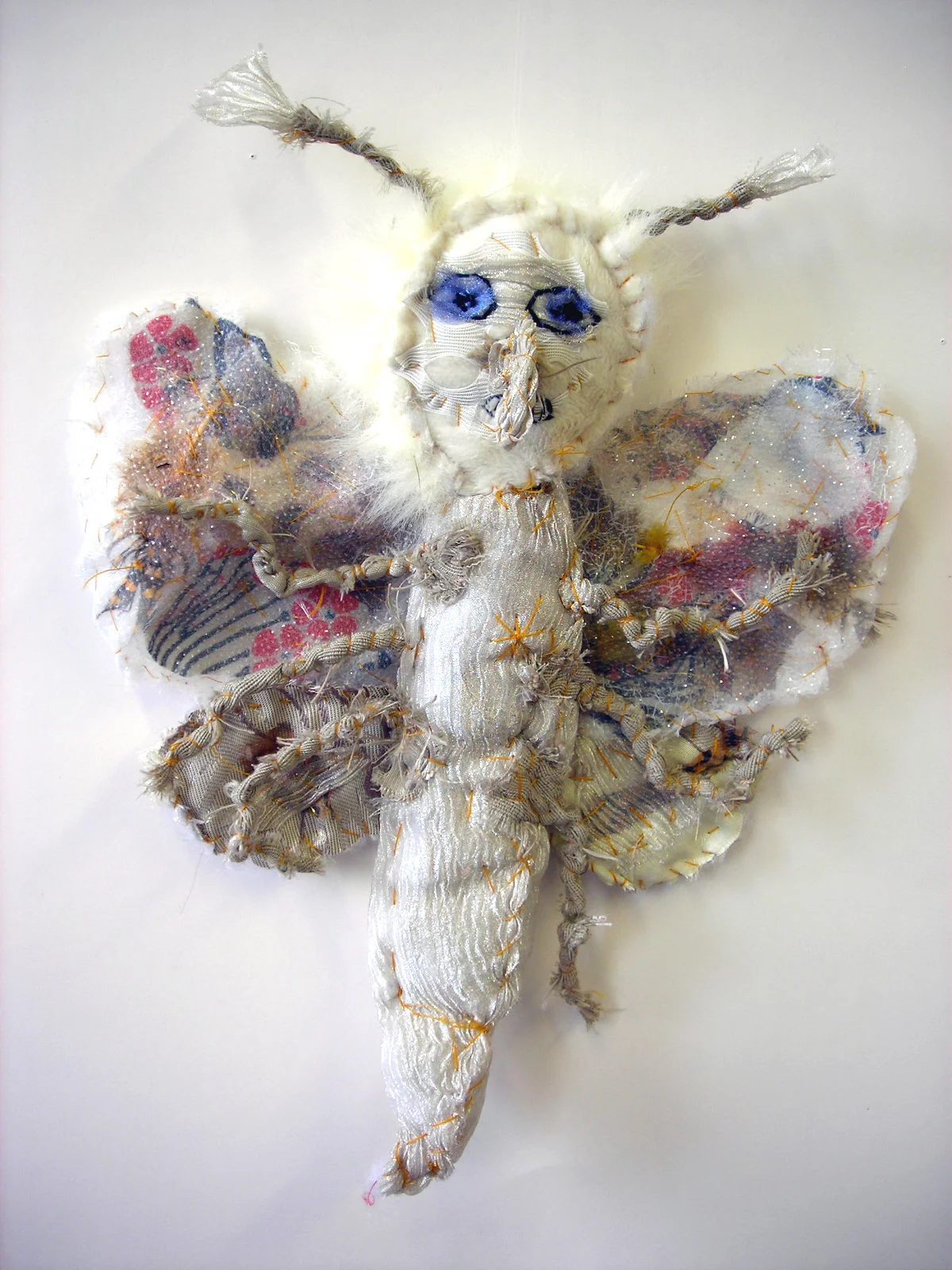 2161-(1)-Nameless Wonders moth.JPG