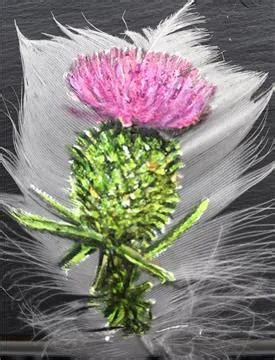 Feather Finesse