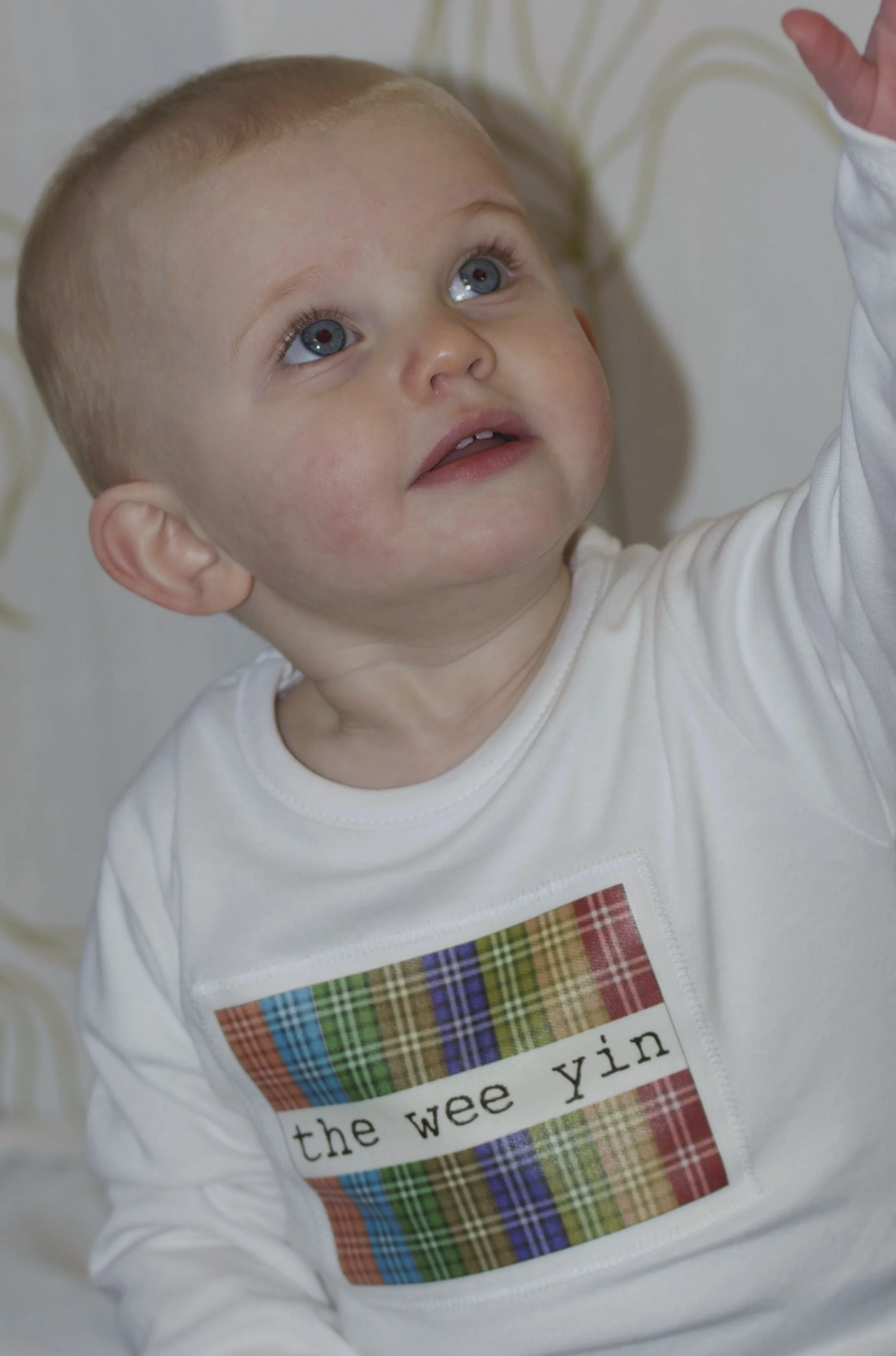 IMGP2446.jpg