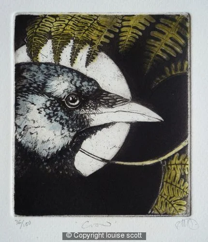304350_crow.jpg