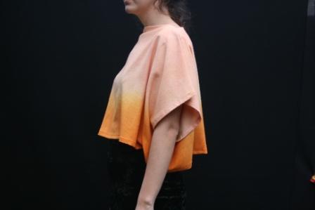 compresses web page 4.JPG