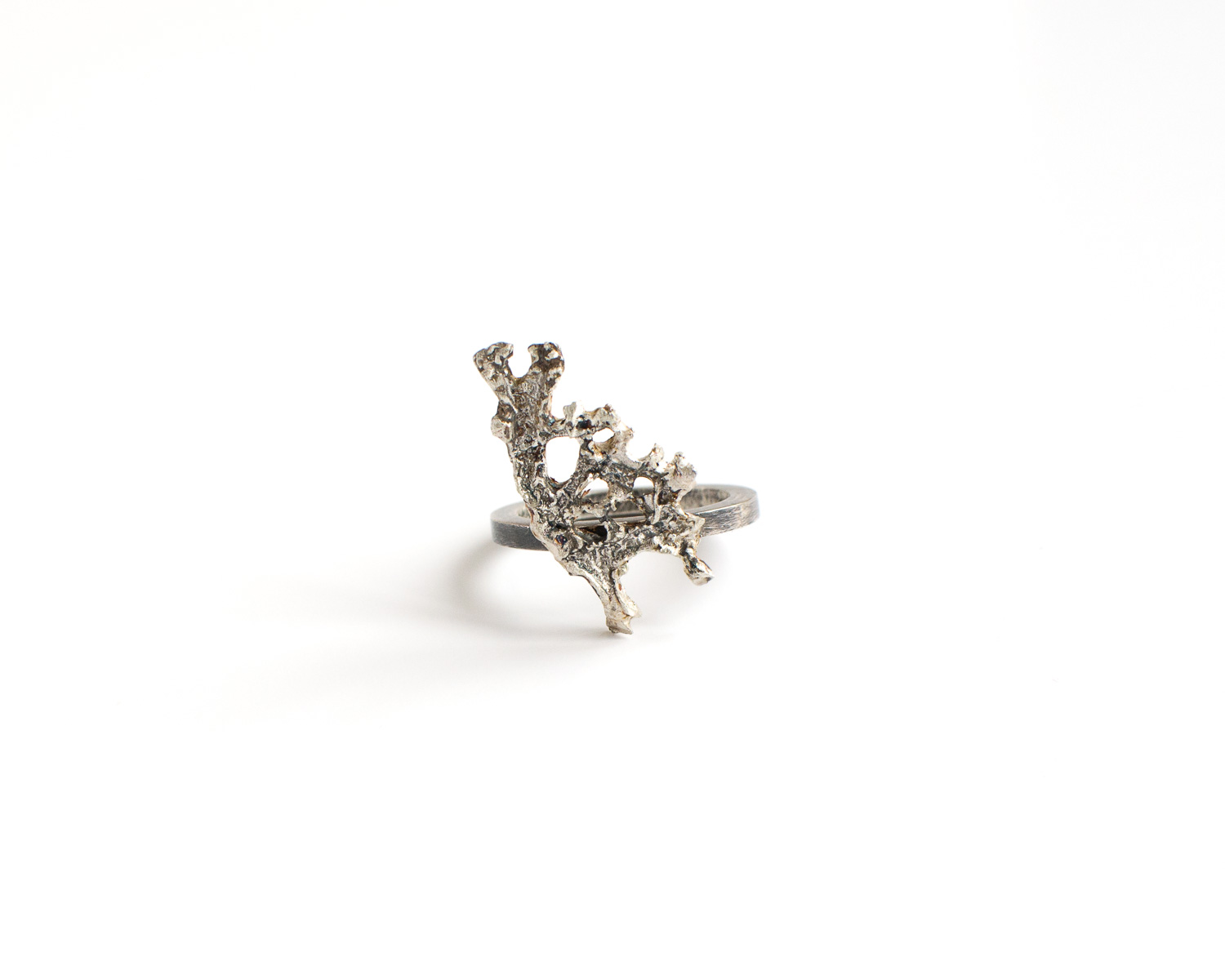 Pederzoli_Lichen-Ring.jpg