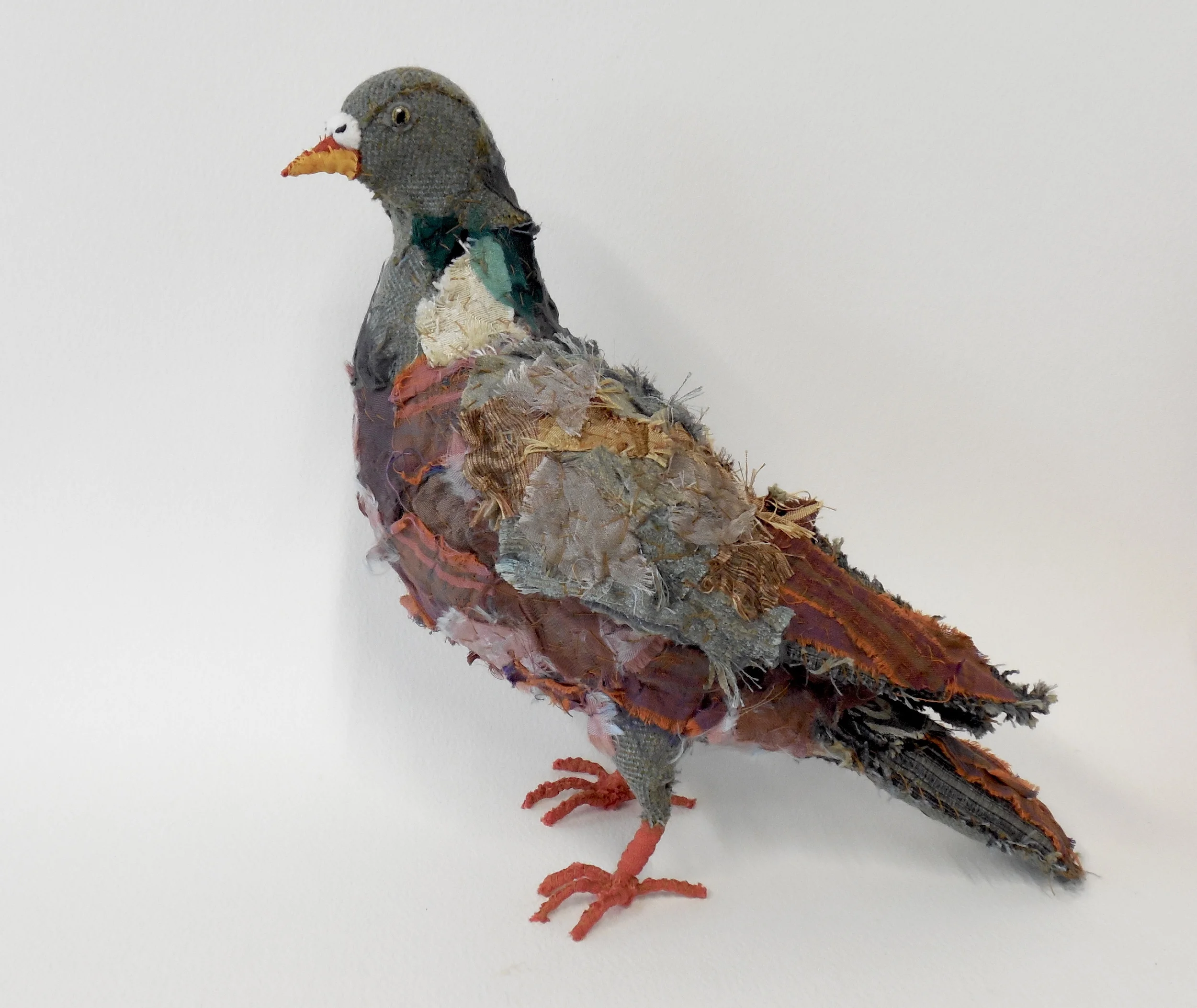 woodpigeon.jpg
