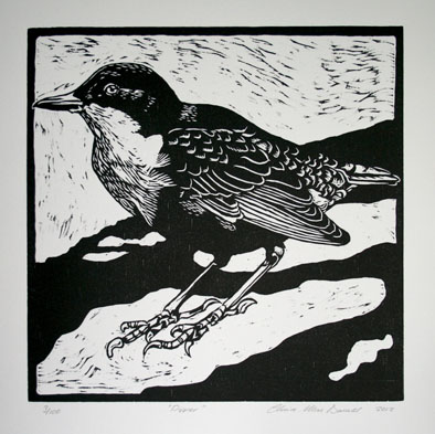 dipper print example.jpg