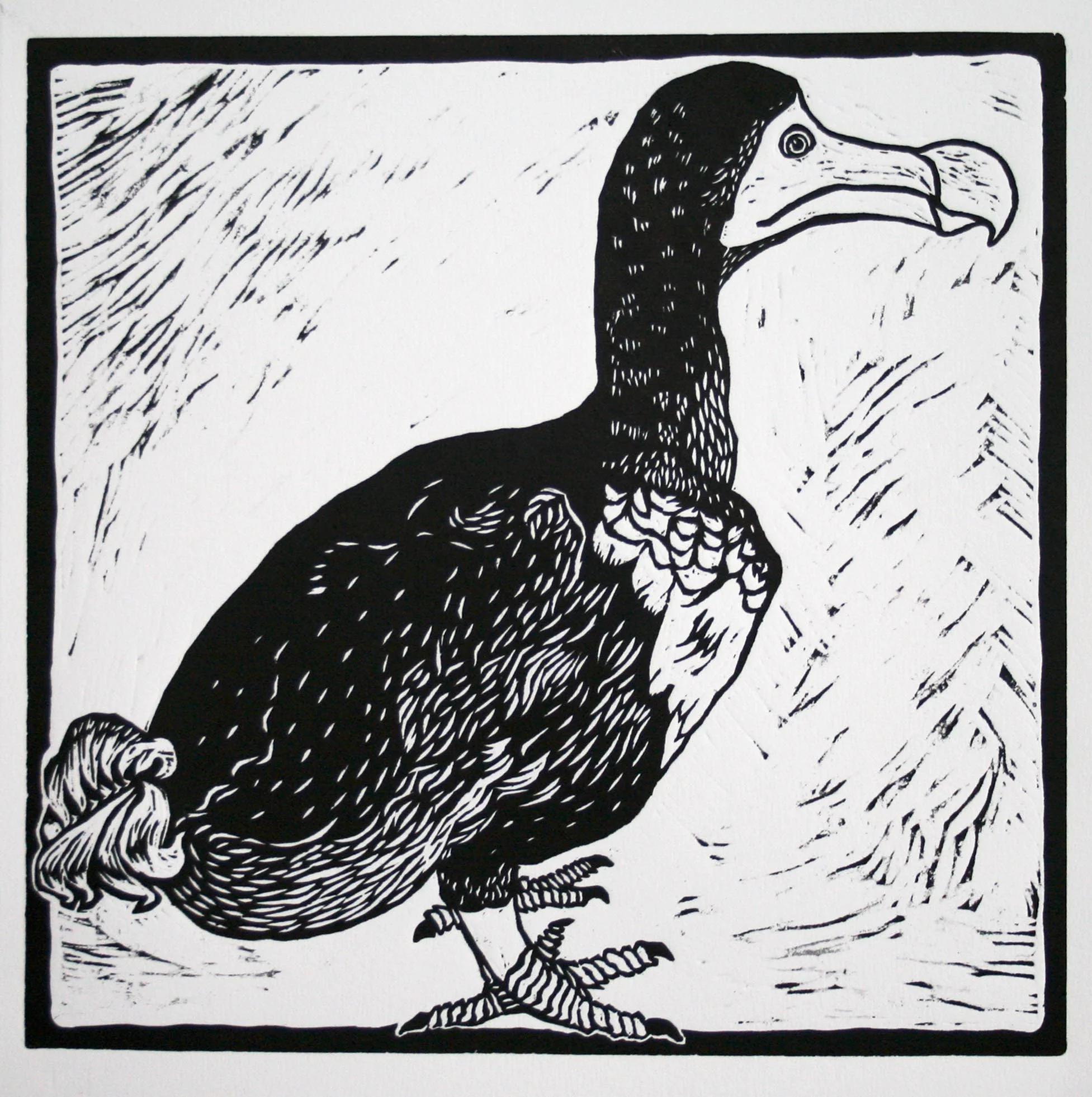 dodo print.jpg