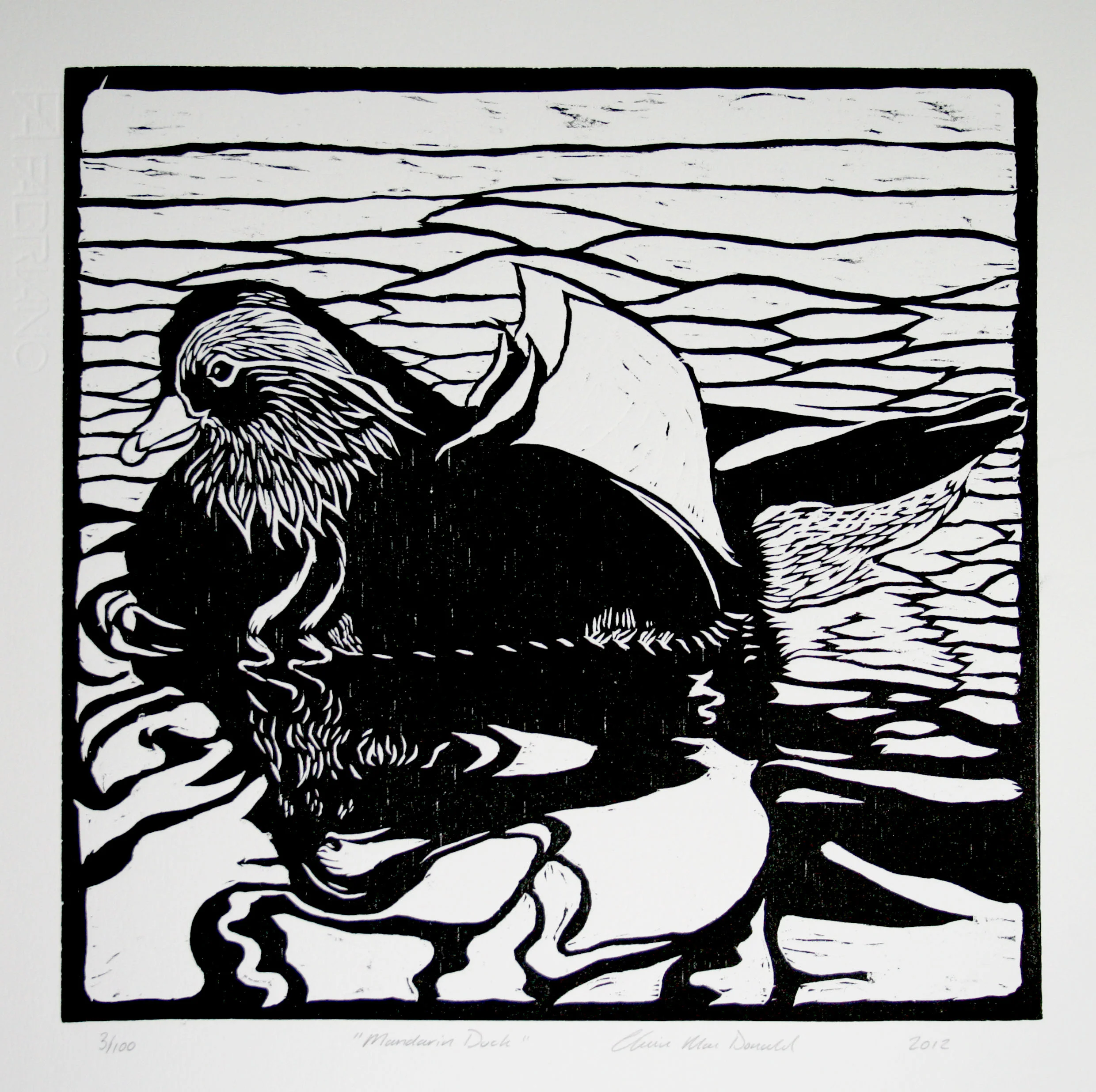 mandarin duck print.jpg