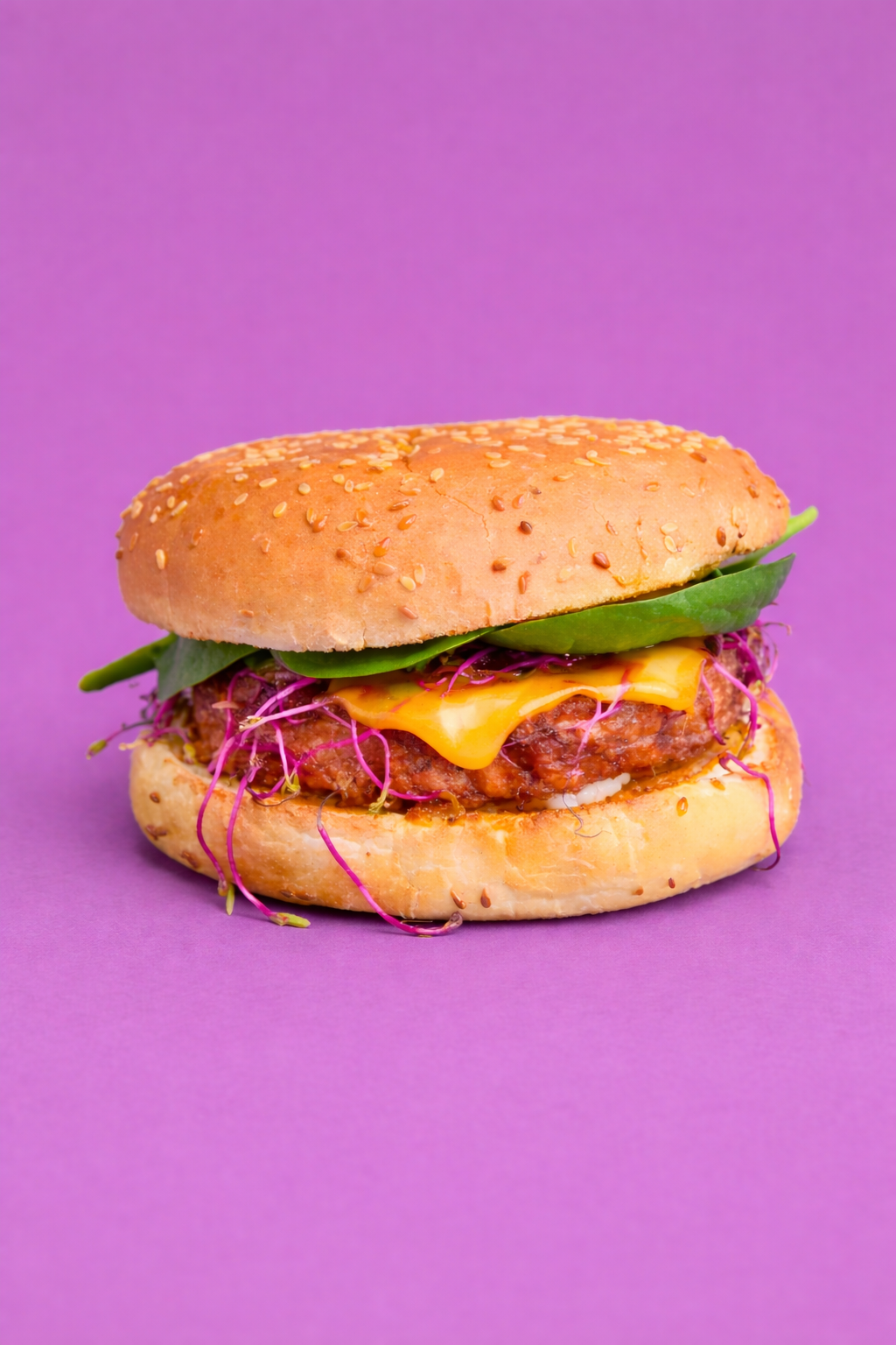 Burger Aioli Cheddar.png
