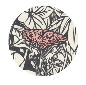 New website