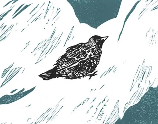 hitchhikers+print.jpg