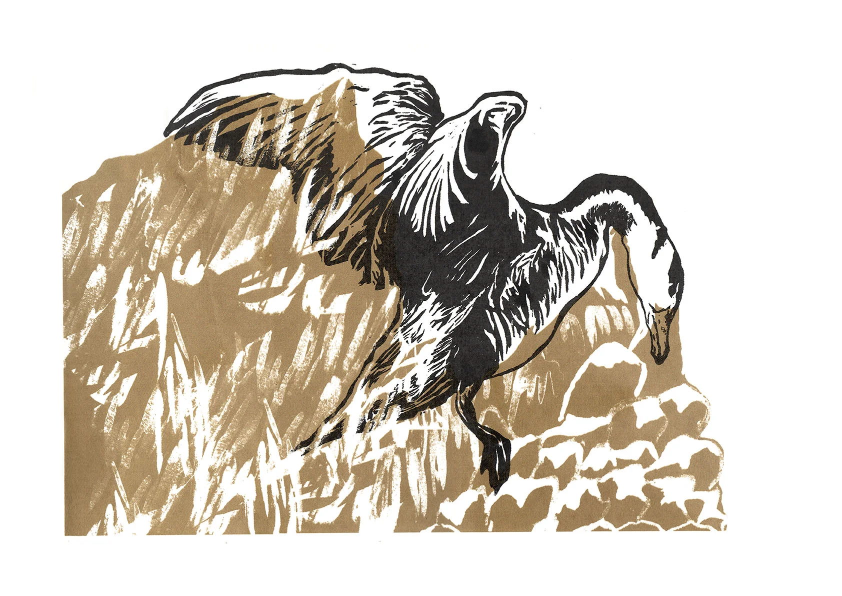 Muddiver Goose72.jpg