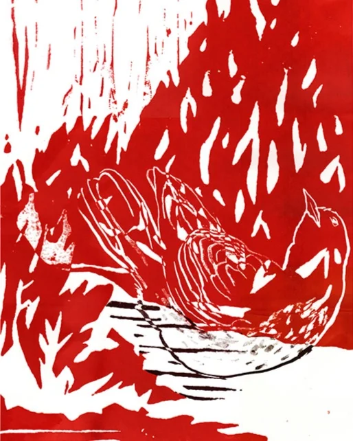 phoenix72.jpg