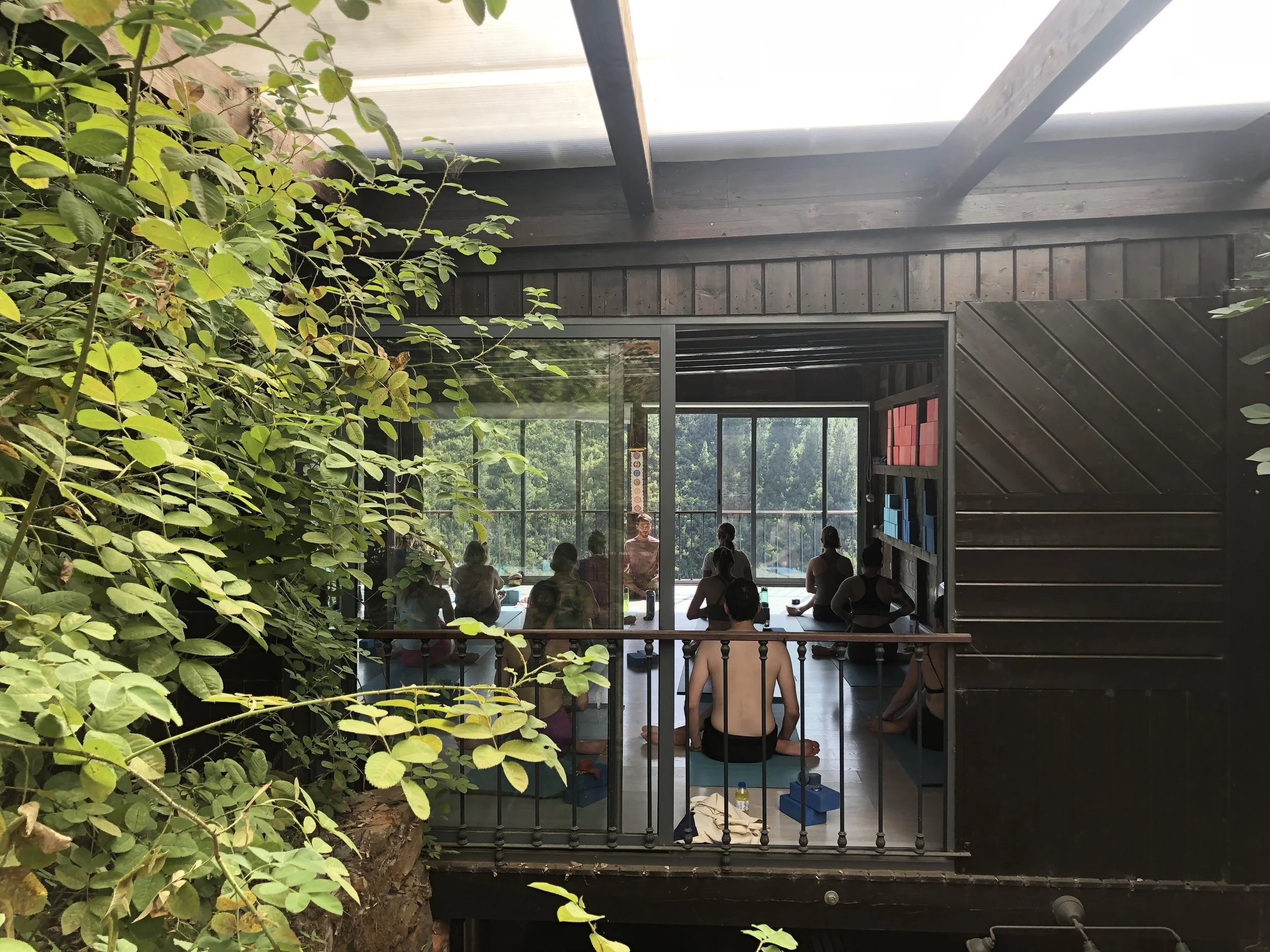 6-Day Forrest Yoga and Energy Healing Retreat with Forrest Yoga Guardian, Ilias Kousis