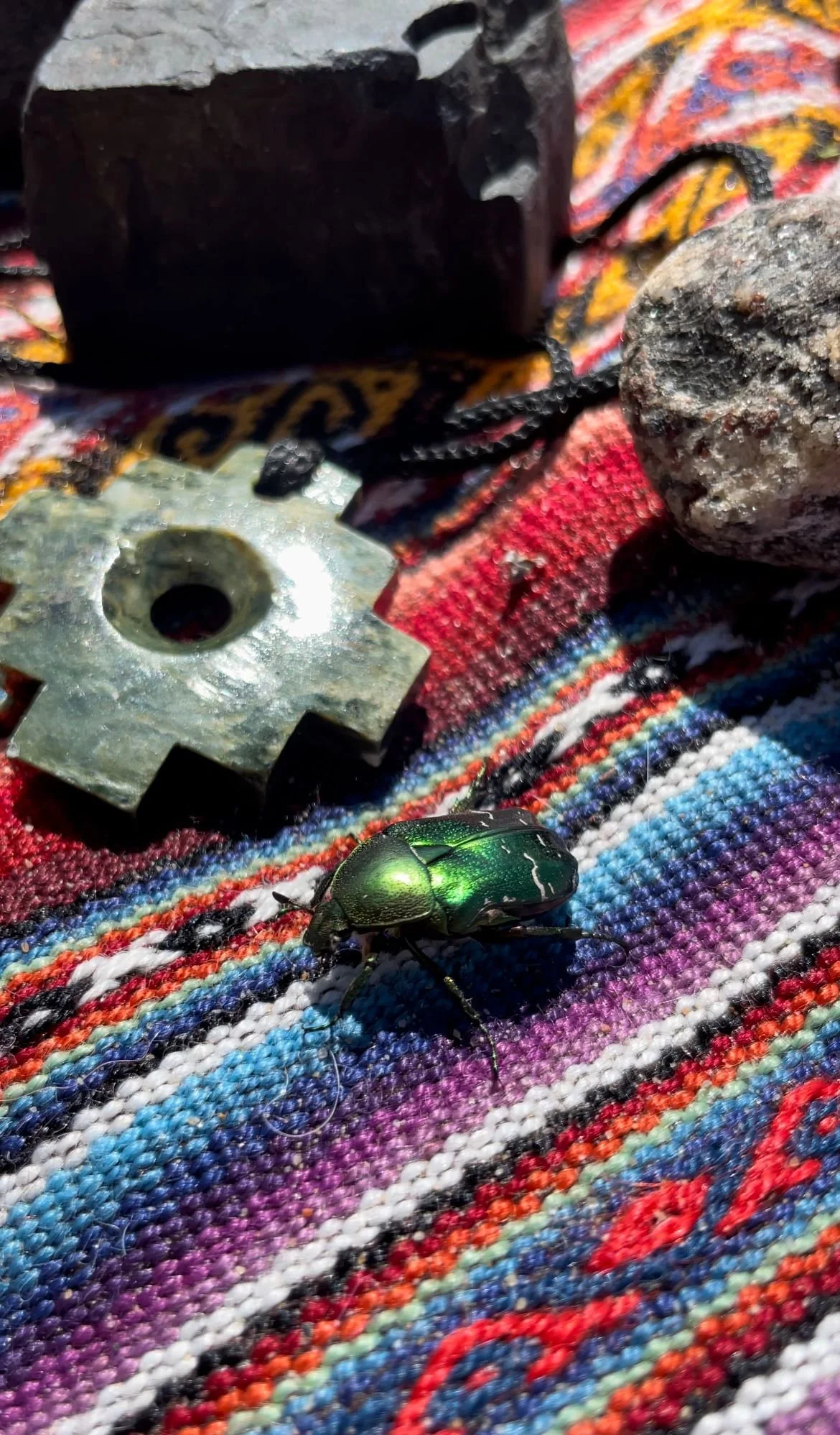 WhatsApp Image 2026-03-09 at 18.20.35.jpeg