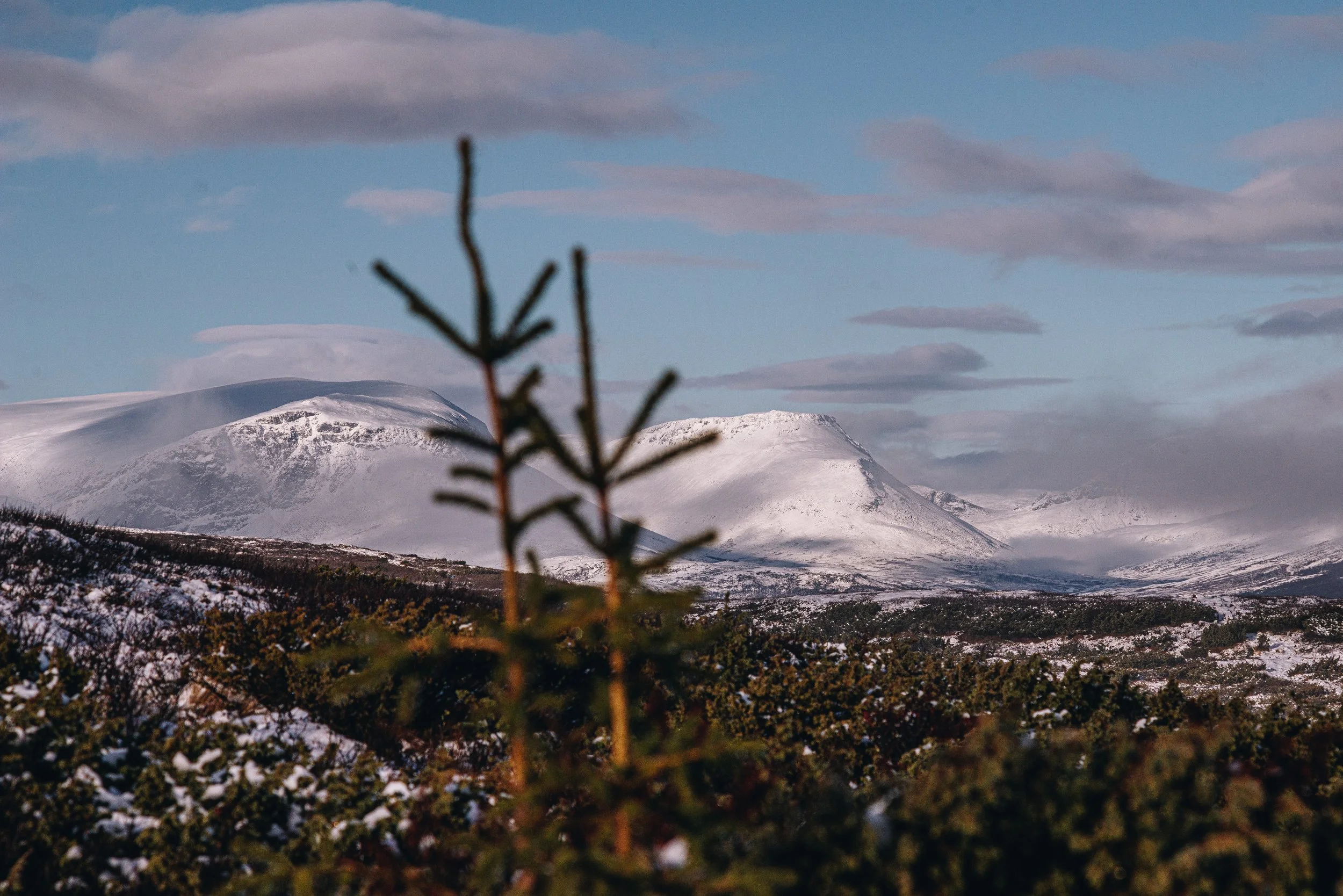 snowy mountain top.jpg