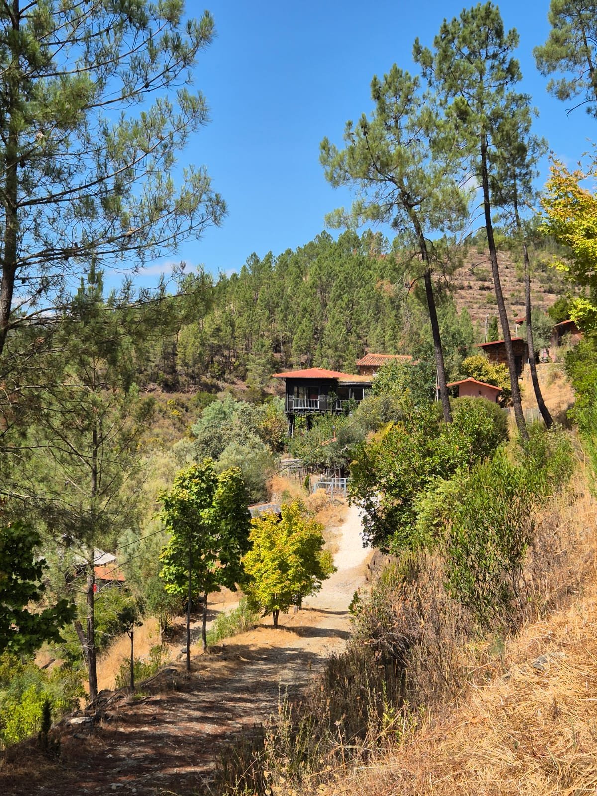 WhatsApp Image 2025-09-15 at 09.49.12.jpeg