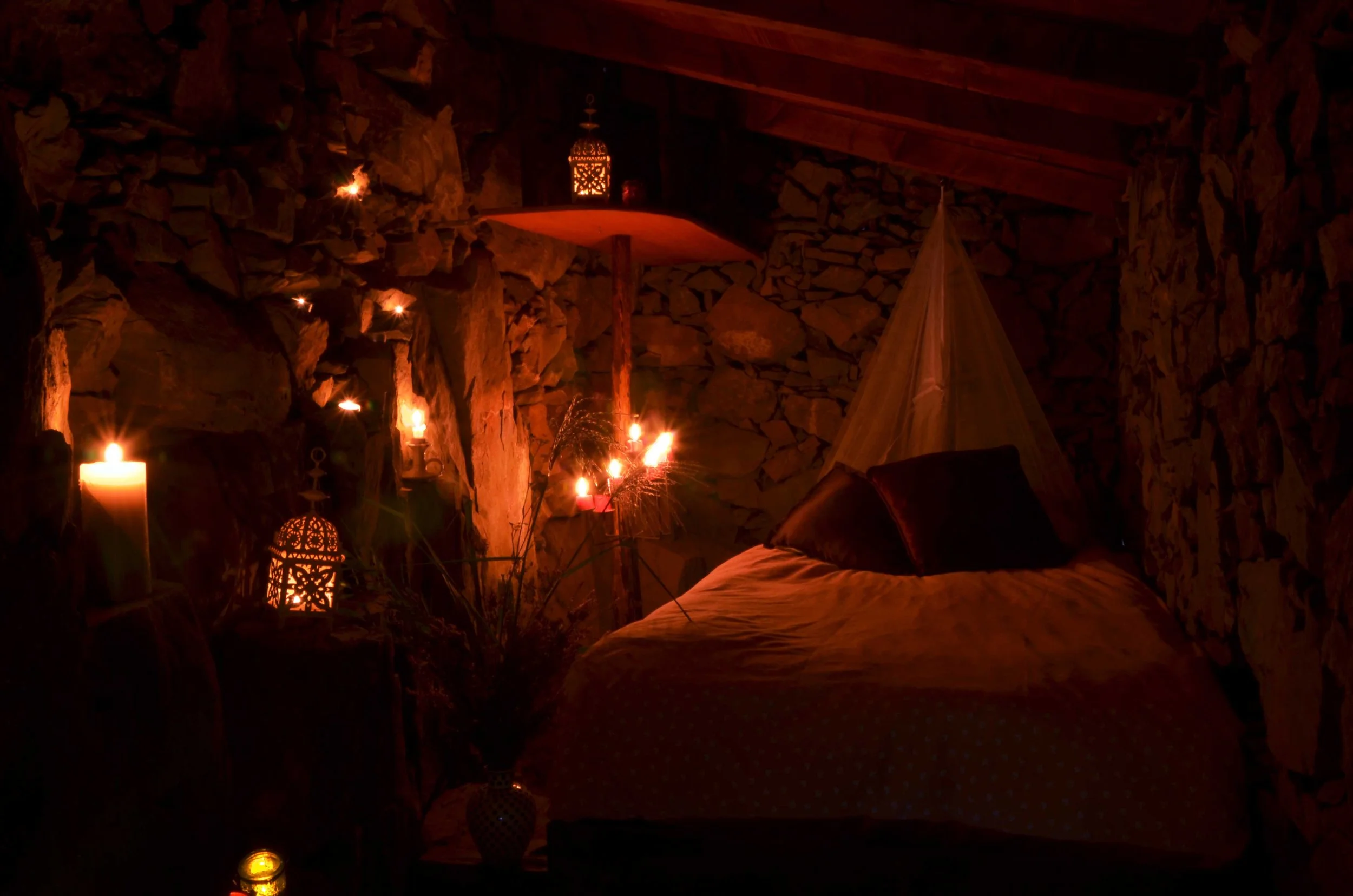 Copy of NinjaSuite.jpg