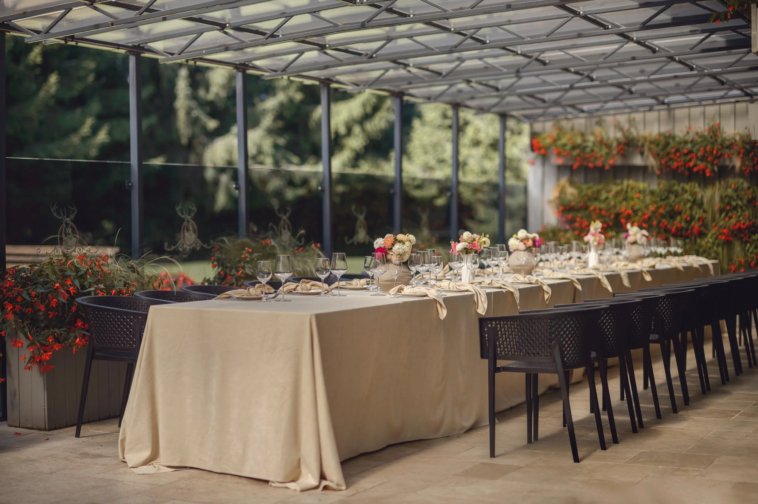 RZ7.jpg