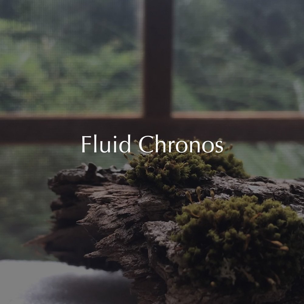 Fluid Chronos with Logo Cover.jpg