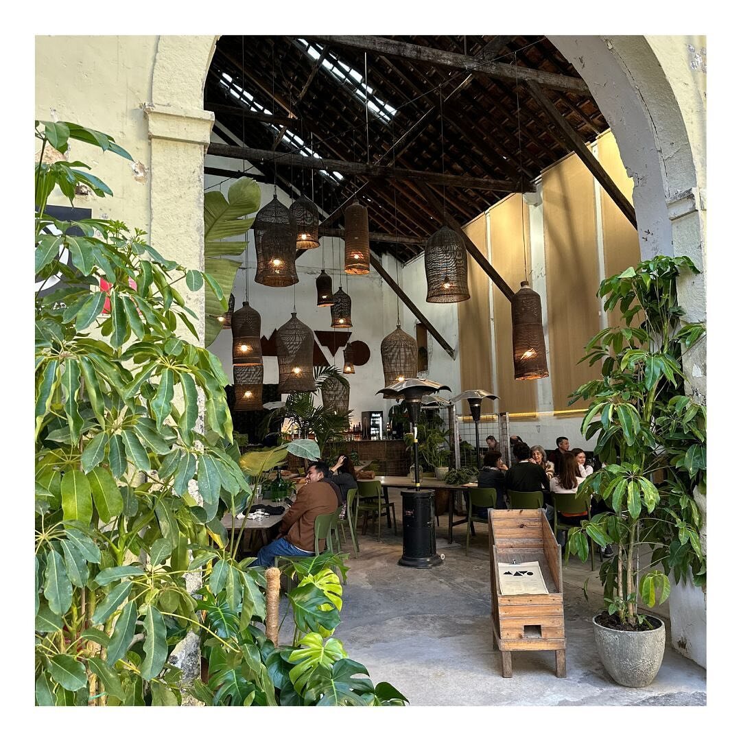 Growing naturally, @mato_lisboa keeps planting its seed, nourishing the heart and soul of @8marvila . Inspired by its botanical atmosphere, MATO is the balance between a once abandoned urban space and an experience that brings together a restaurant, 