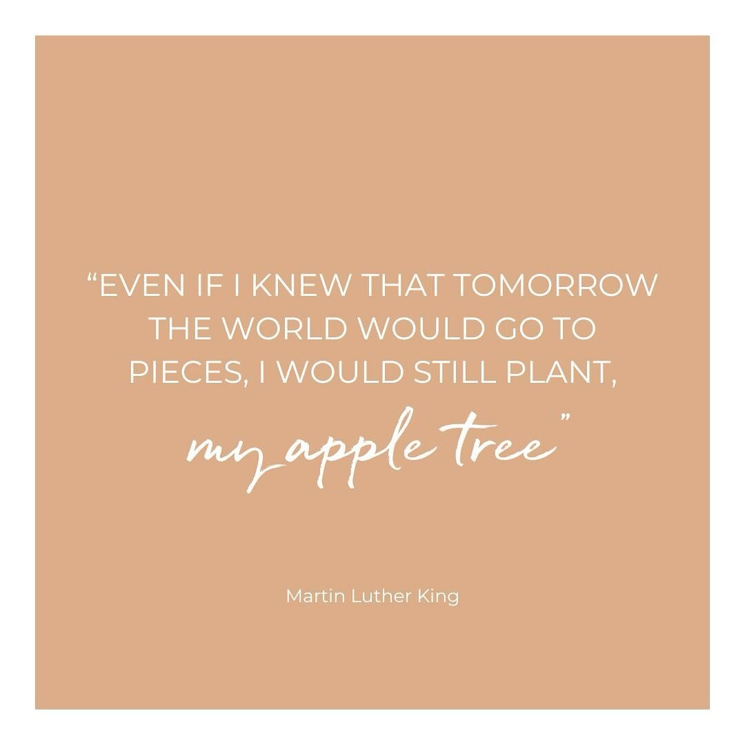 When we love, we are planting a seed that someday will grow. Everyday, as a team, we plant joy, kindness and love so even if the world would go to pieces we would still continue to plant our little seeds.

#hec
#wordsofkindness
