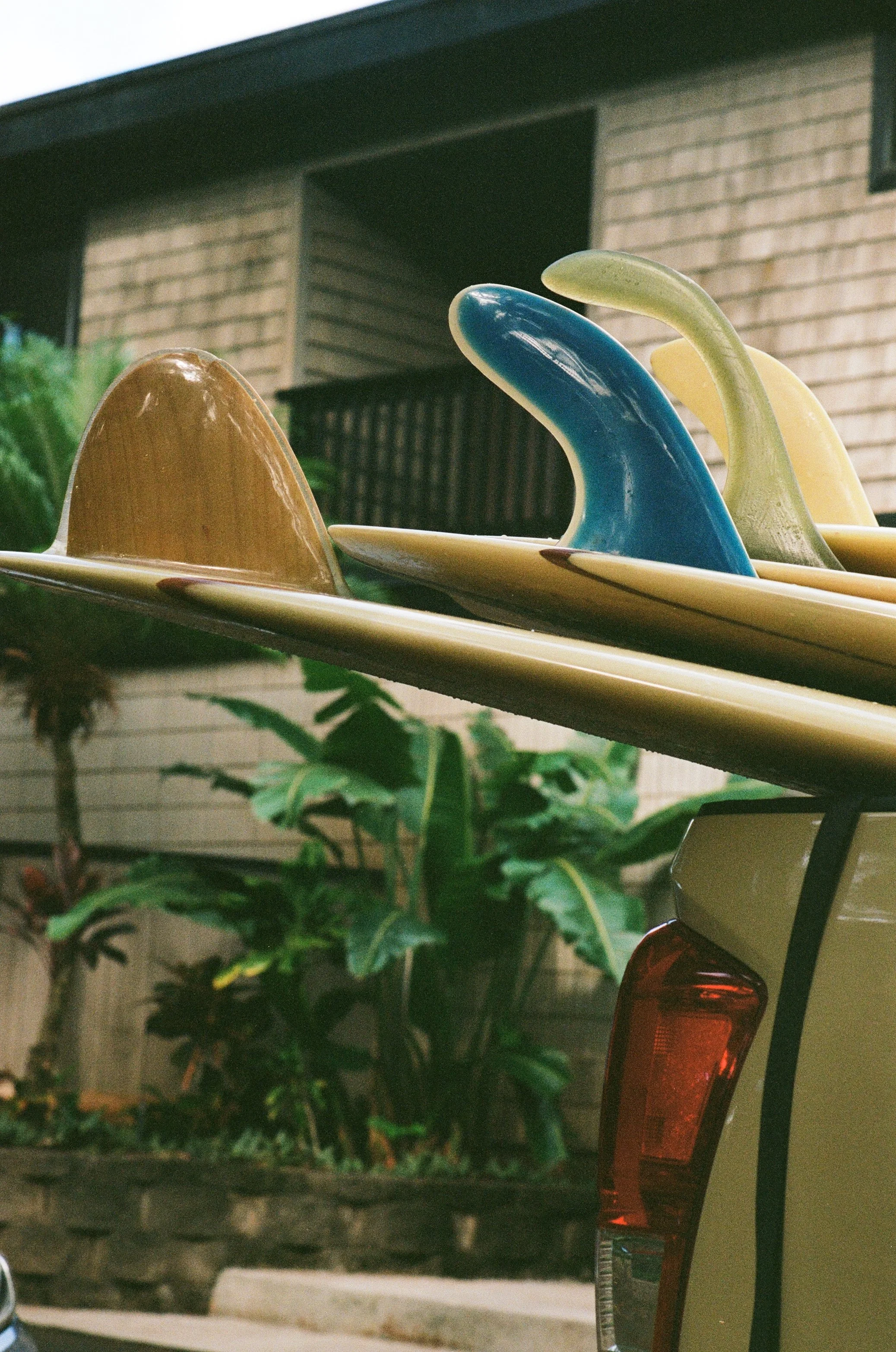 Fin era - North shore - Oahu