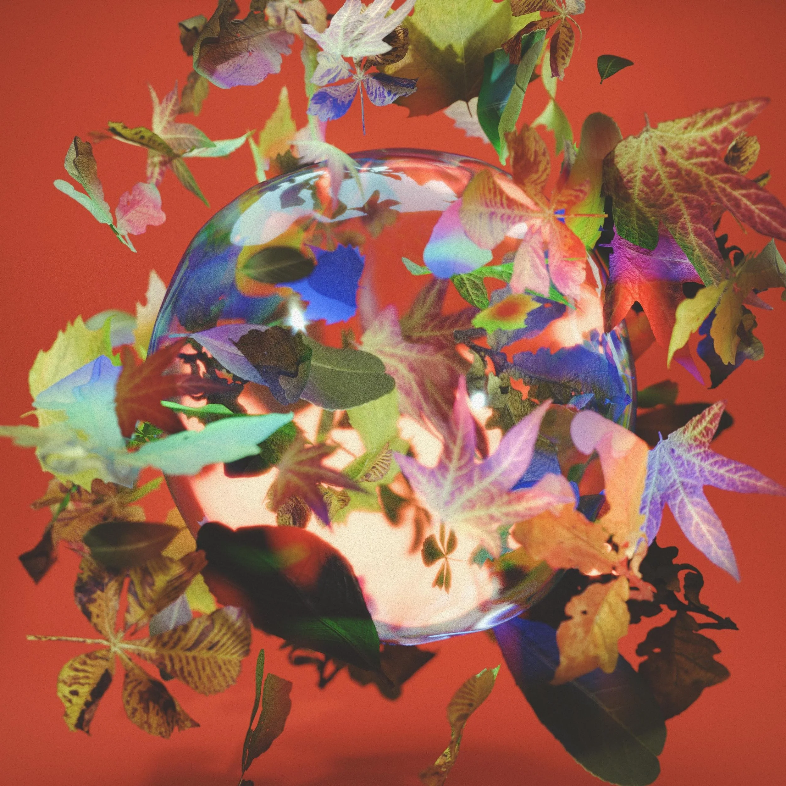 Echo Juliet - Lift Your Face to the Sun / Halfway In Light - Invisible IDs