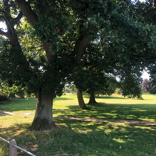 Beautiful day at the Heath. I love these trees. How&rsquo;s your training going? #healthylifestyle #fitness #strengthtraining #outdoors #nutrition #cardio #gym