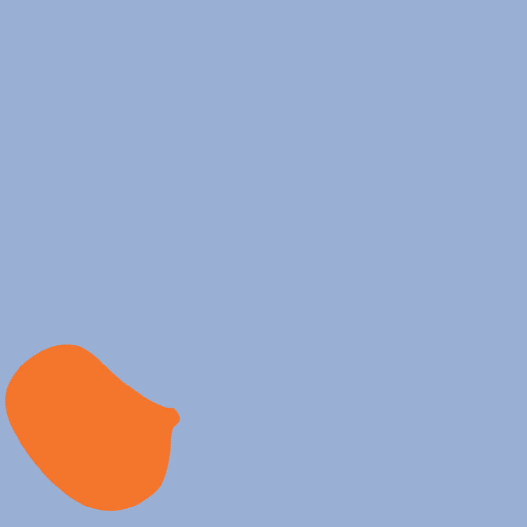multicolour (2).png