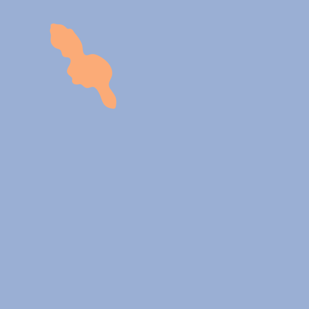 lightblue peach.png