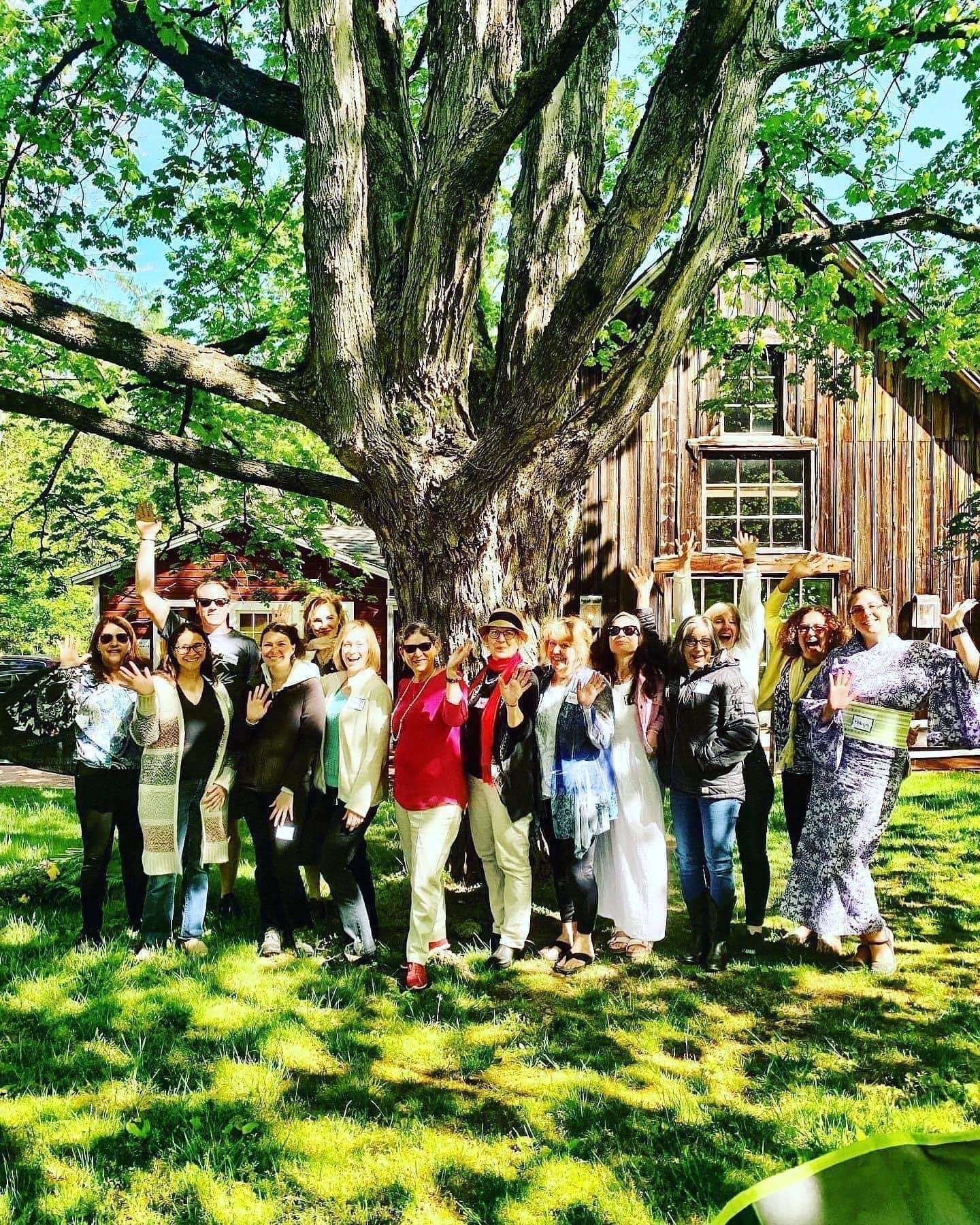Mt. Kisco TLC Wellness Networking