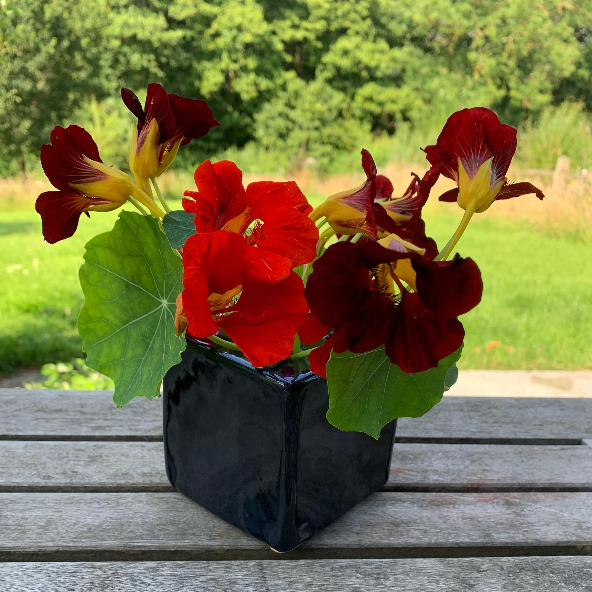 It is all about nasturtiums for me at the moment. I made this deep blue cube vase to complement their deep orange and red flowers and bluey green soft leaves. There is something very earthy about the smell of nasturtiums that fills a room with nostal